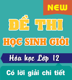 Đề thi HSG Sở GD, Trường Chuyên